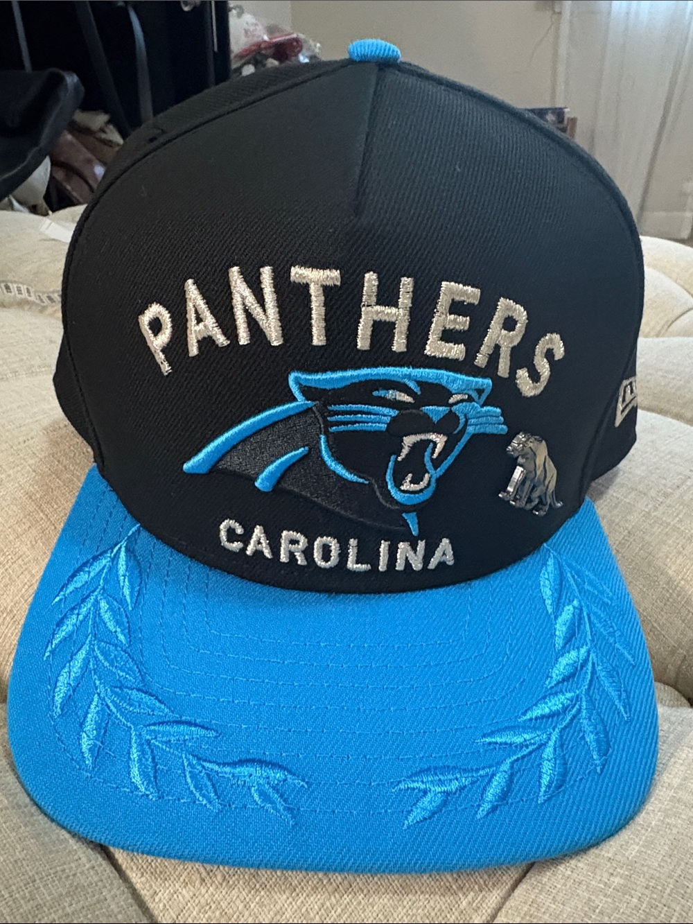 NFL Carolina Panthers Black and Blue Snapback Hat
